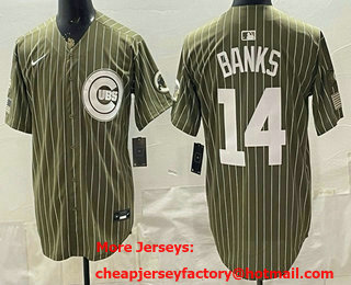 Men's Chicago Cubs #14 Ernie Banks Pinstripe Olive 2026 Armed Forces Day Salute To Service Jersey